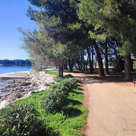 Apartments Novigrad Novigrad Istria Esterno foto