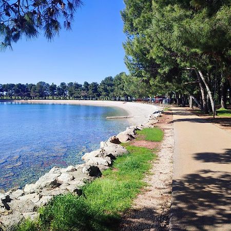 Apartments Novigrad Novigrad Istria Esterno foto