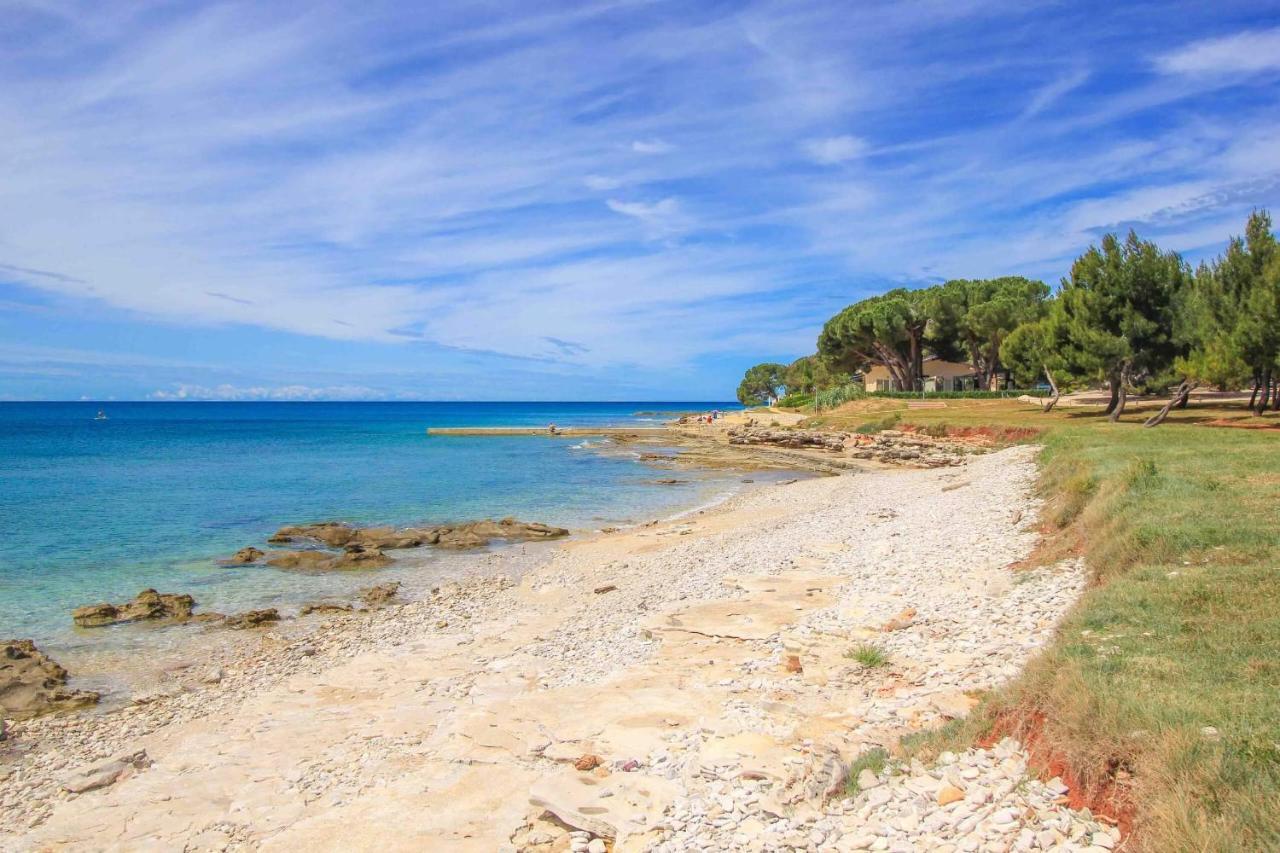 Apartments Novigrad Novigrad Istria Esterno foto