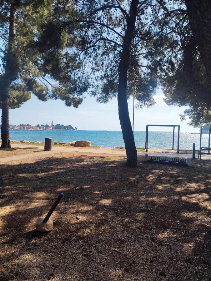 Apartments Novigrad Novigrad Istria Esterno foto